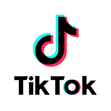 TikTok Ads icon